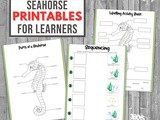 Sea Horse Activity Pack for Kids