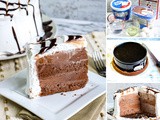 Simply Delicious Chocolate Ice Cream Cake Recipe