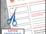 Summer Observations Printable Pack