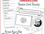 Tennessee State Fact File Worksheets