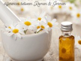 The Guide to Understanding Chamomile Essential Oils