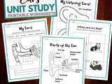 The Human Ear Worksheets for Kids