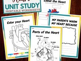 The Human Heart Worksheets for Kids