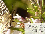 Thieves Essential Oil Recipe