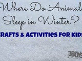 Where Do Animals Sleep in the Winter Crafts and Activities for Kids