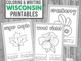 Wisconsin Coloring and Handwriting Book
