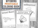 Wyoming Coloring and Handwriting Book