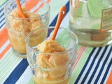 Blood orange tequila floats – blood orange sorbet recipe