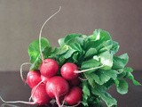 Radish tart and salad of living watercress