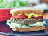 Spicy anasazi bean burger