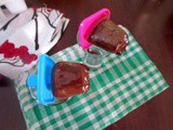 Dark Chocolate Coconut Milk Popsicle ~ 2 Ingredient Recipe