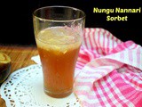 Nungu Nannari Sorbet