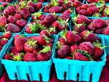 Crushing on the Franklin Farmer’s Market