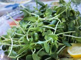 Lemon Honey Salad Dressing, Micro Greens