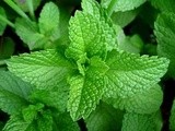 Mint Limeade Recipe