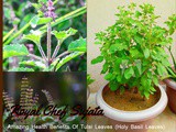 Amazing Health Benefits Of Tulsi Leaves (Holy Basil Leaves)