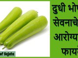 Dudhi Bhopla Lauki Fayde | Bottle Gourd Health Benefits In Marathi