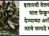 Health Benefits Of Elaichi Cardamom Peel in Marathi