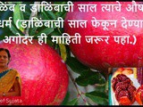Health Benefits of Pomegranate and Skin for Heart, Cancer and Bone In Marathi