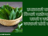 Home Remedies: Benefits Of Drinking Bay Leaf Water For Health In Marathi