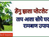 Home Remedies For Dengue Fever And Increase in Platelet Count In Marathi