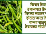 Kitchen Hacks: How To Store Green Chilli For Long Time In Summer Season in Marathi