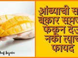 Mango Peel Benefits For Skin And Plants In Marathi