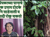Peepal Ke Patte Ka Upay Totka In Marathi