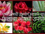 Pushpa Aushadhi Flower Remedies in Marathi