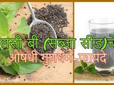 Sabja Seeds Basil Seeds Tulsi Beej Health Benefits in Marathi