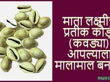 Symbol of Goddess Lakshmi Cowries In Marathi