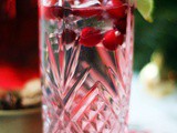 Cranberry Gin and Tonic