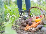 Grow Your Own In February