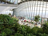 How to Beat the Queues at the Sky Garden