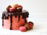 Neapolitan Cake