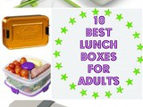 The 10 Best Adult Lunch Boxes