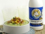 Cinco de Mayo Recipes: Kefir Chilled Avocado Soup