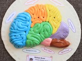 Model of Human Brain with Fondant