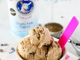 Chocolate Chip Cookie Dough Frozen Yogurt (Fro-Yo)