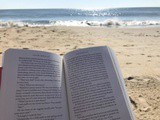 Beach Book Reviews