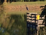 Exercise and Warrior’s Path State Park