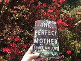Perfect Mother by Aimee Molloy Book Review