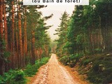 Expérimenter la promenade en forêt