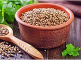 Know the 5 Amazing Benefits of Coriander Powder