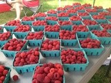 First Visit to Spa City Farmers Market