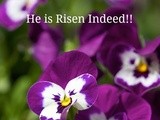 He is Risen, He is Risen Indeed!! Easter Greetings from The Café
