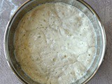Sourdough starter