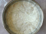 Sourdough starter