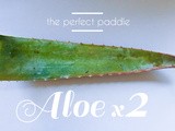 The Perfect Paddle: Aloe Remedies For Skin & Body