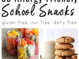 35 Dairy Free and Gluten Free Snacks for School